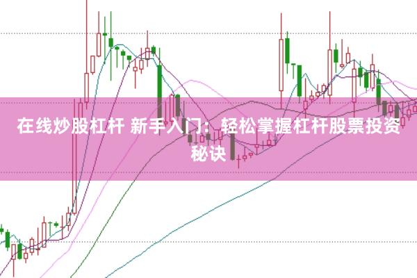 在线炒股杠杆 新手入门：轻松掌握杠杆股票投资秘诀