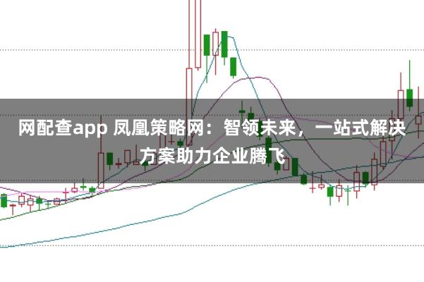 网配查app 凤凰策略网：智领未来，一站式解决方案助力企业腾飞