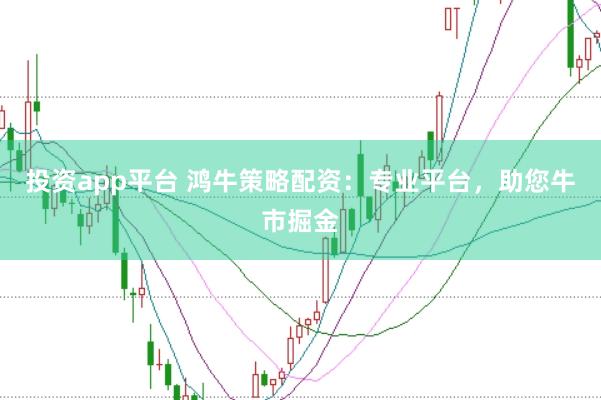 投资app平台 鸿牛策略配资：专业平台，助您牛市掘金