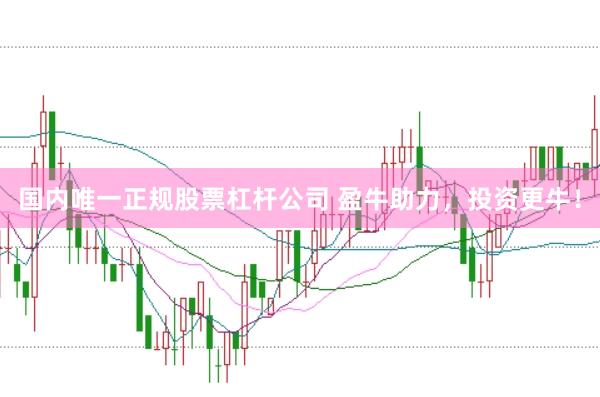 国内唯一正规股票杠杆公司 盈牛助力，投资更牛！