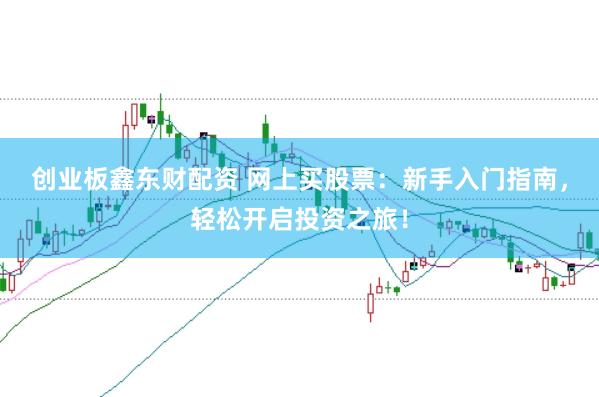 创业板鑫东财配资 网上买股票：新手入门指南，轻松开启投资之旅！