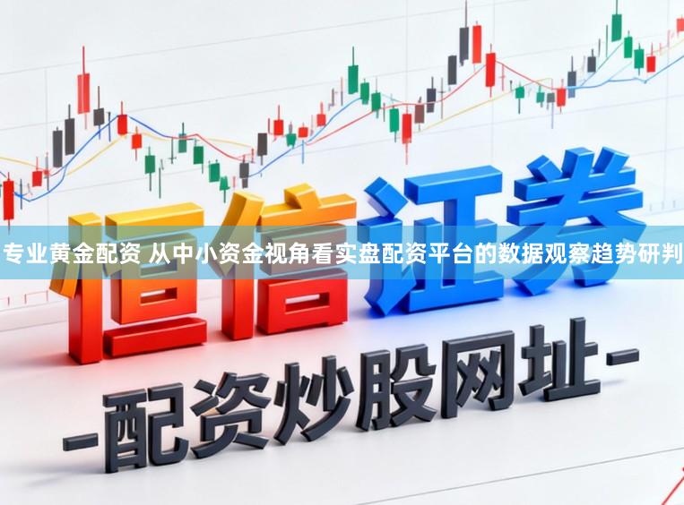 专业黄金配资 从中小资金视角看实盘配资平台的数据观察趋势研判